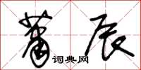 王冬龄萧辰草书怎么写
