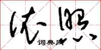 刘少英依照草书怎么写