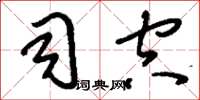 刘少英司空草书怎么写
