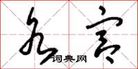 刘少英水宫草书怎么写