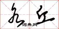 刘少英水丘草书怎么写