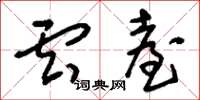 刘少英云台草书怎么写