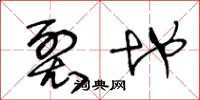 王冬龄裂地草书怎么写