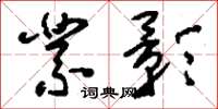 刘少英业影草书怎么写
