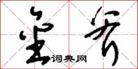 刘少英金斧草书怎么写