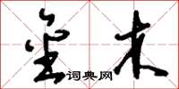 刘少英金木草书怎么写