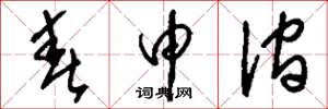 刘少英春申涧草书怎么写