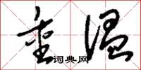刘少英重温草书怎么写
