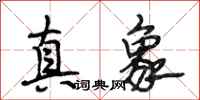 段相林真象行书怎么写