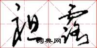 刘少英袒露草书怎么写