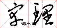 刘少英宰理草书怎么写