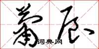 刘少英萧辰草书怎么写