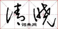 刘少英清晓草书怎么写