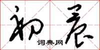 刘少英初晨草书怎么写