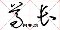刘少英尊长草书怎么写