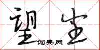 段相林望尘行书怎么写