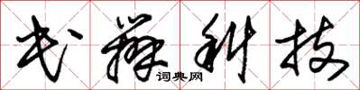 朱锡荣民办科技草书怎么写
