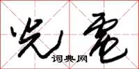 朱锡荣光电草书怎么写