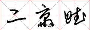 朱锡荣二京赋草书怎么写