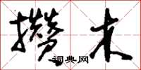 刘少英攒木草书怎么写