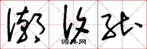 刘少英潮汐能草书怎么写