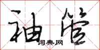 段相林袖管行书怎么写