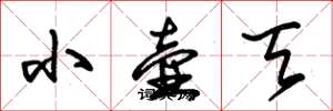 朱锡荣小壶天草书怎么写