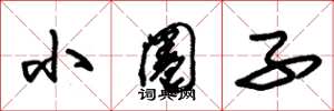 朱锡荣小圈子草书怎么写