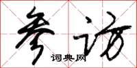 朱锡荣参访草书怎么写
