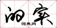 朱锡荣的实草书怎么写