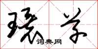 朱锡荣环草草书怎么写