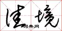 朱锡荣佳境草书怎么写