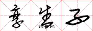 朱锡荣孪生子草书怎么写