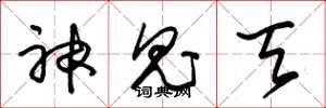 朱锡荣神鬼天草书怎么写
