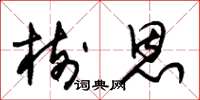 朱锡荣树恩草书怎么写