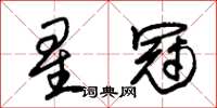 朱锡荣星冠草书怎么写