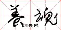 朱锡荣养魂草书怎么写