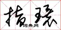 朱锡荣指环草书怎么写