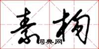 朱锡荣素构草书怎么写