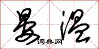 朱锡荣晏温草书怎么写