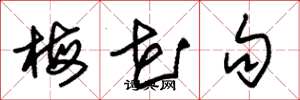 朱锡荣梅花句草书怎么写