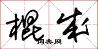朱锡荣棍成草书怎么写
