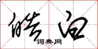 朱锡荣皓白草书怎么写