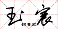 朱锡荣玉宸草书怎么写