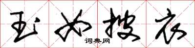 朱锡荣玉女披衣草书怎么写