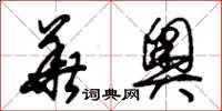 朱锡荣华奥草书怎么写