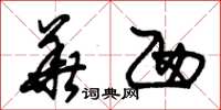 朱锡荣华西草书怎么写