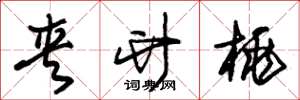 朱锡荣夹竹桃草书怎么写