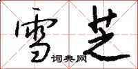 钱沛云雪芝行书怎么写