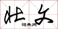 朱锡荣壮文草书怎么写